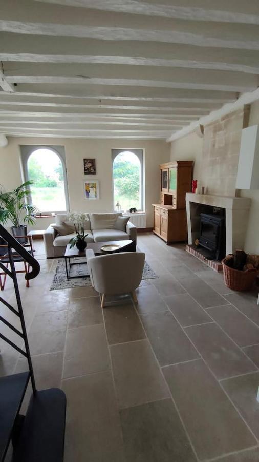 Vila Chateau Des Nouies Selles-sur-Cher Exteriér fotografie